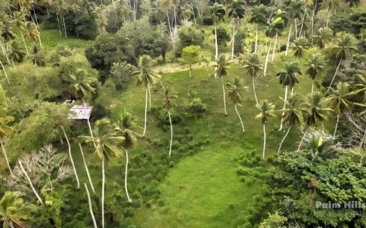 Finca en plena naturaleza con vistas al mar