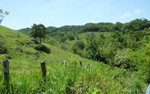 Tierras ideales para la agricultura