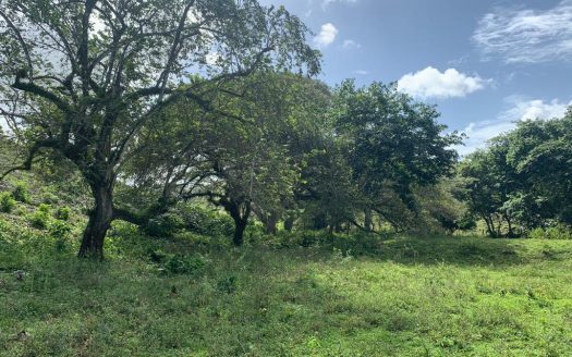Terreno agrícola en Sabaneta por 2 USD por m2