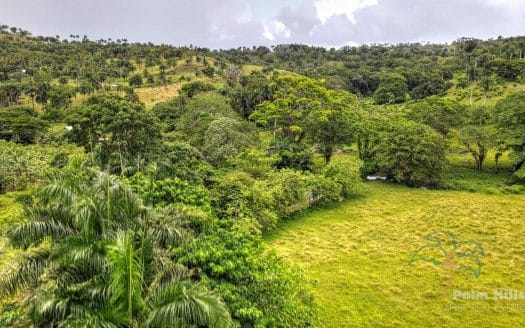 Farm with a River and Good Access