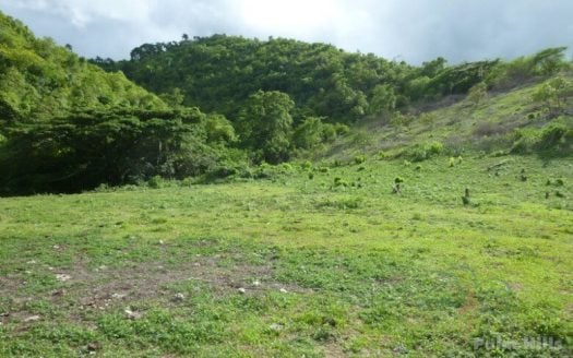 Farmland with Hardwood Resources and 1 Kilometer River
