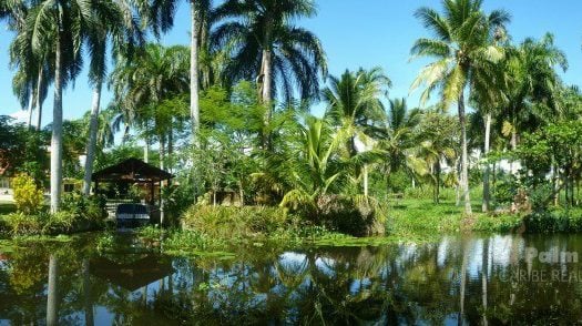 Фермерские земли, идеально подходящие для проекта, у реки и недалеко от пляжа