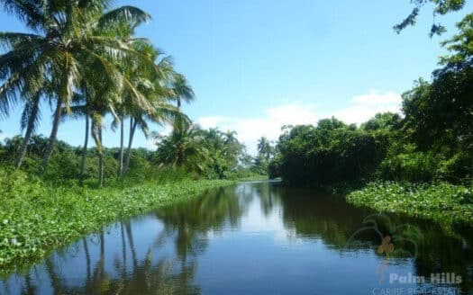Фермерские земли, идеально подходящие для проекта, у реки и недалеко от пляжа