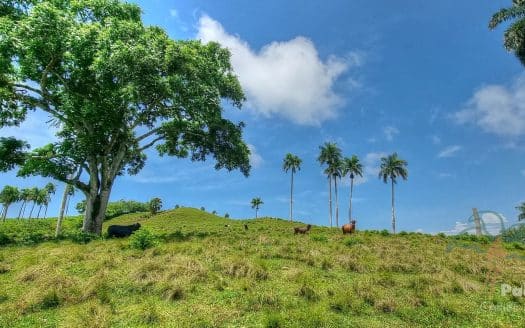 Farm with a River and Good Access