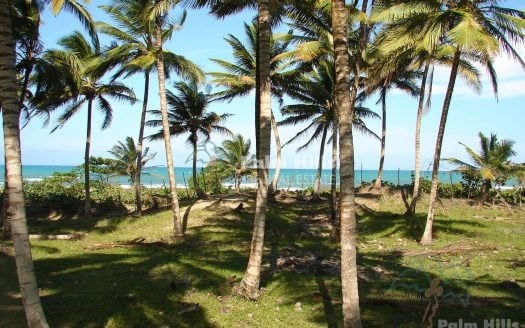 LAST Beachfront Lot Close to Sabaneta