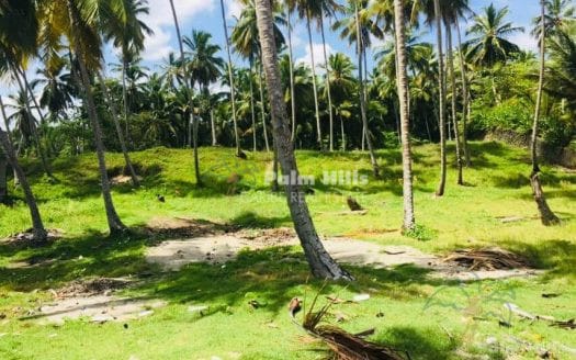 LAST Beachfront Lot Close to Sabaneta
