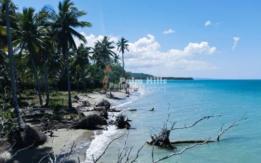 25 USD / m2 Terreno urbanizable directamente en la playa