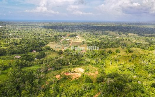 6,5 акров земли с видом на океан и небольшим ручьем