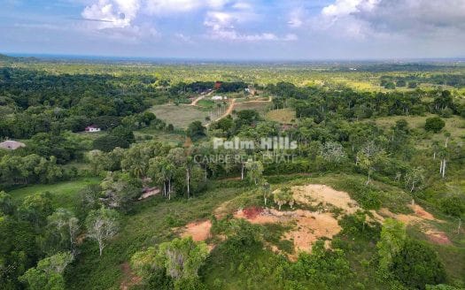 6,5 акров земли с видом на океан и небольшим ручьем