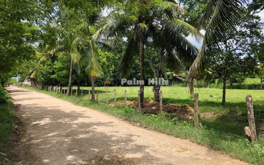 Ferme de 65 acres avec rivière et système d'irrigation