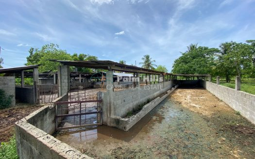 Ferme de 65 acres avec rivière et système d'irrigation