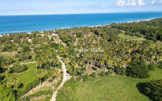Strandgrundstücke von 255 m² bis 452 m²