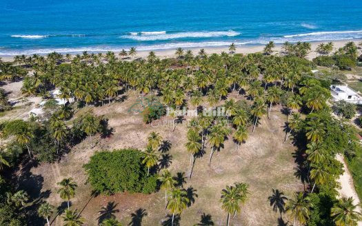 Strandgrundstücke von 255 m² bis 452 m²