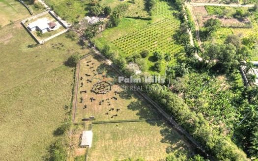 Turn Your Dream into Reality: A Unique Investment Opportunity in Paradise