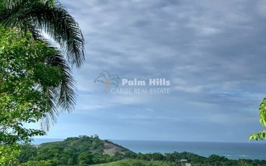 Hermosos Terrenos con Impresionantes Vistas al Mar en Gaspar Hernandez, 10,000 - 30,000 m², 19 - 28 USD/m2