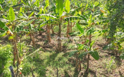 Impresionante Lote con Pozo Propio en Sabaneta