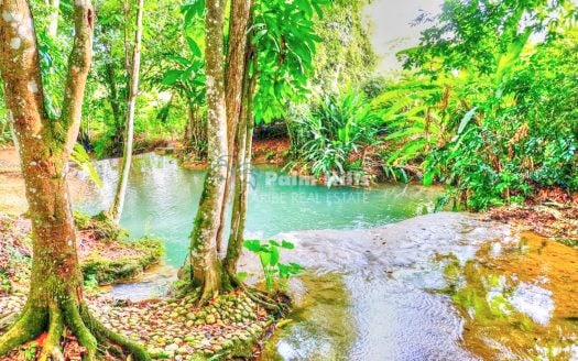 Riverfront Ranch Catalina with a Big Development Opportunity