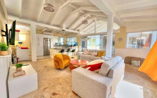 Beautiful Penthouse with Two Apartments: 3-Bedroom and 1-Bedroom Units*