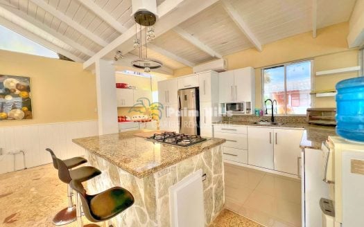 Beautiful Penthouse with Two Apartments: 3-Bedroom and 1-Bedroom Units*