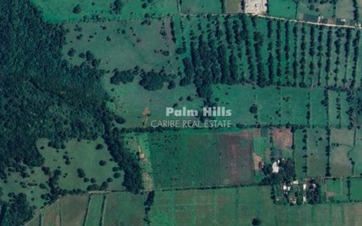 1.4 million m2 Flat agriculture Land Sabaneta