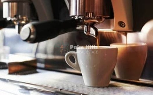 Продажа коммерческой недвижимости в центре Кабарете с дополнительным предложением!