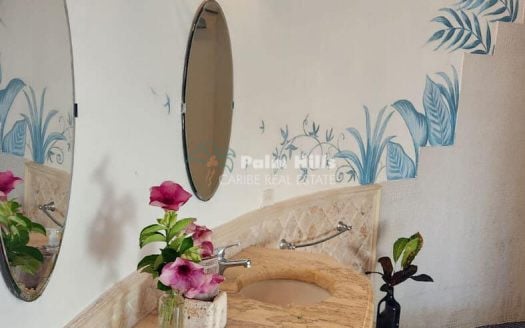 Majestic Castle-Like Villa with Panoramic Ocean Views in Las Galeras