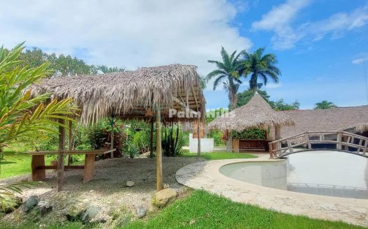 Большая недвижимость мечты с 3 апартаментами, 50 метров до реки, Кабарете