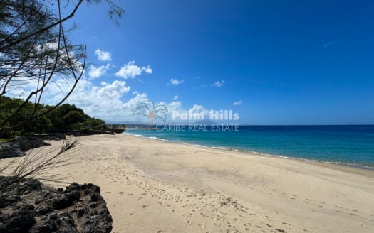 Beautiful 3 Bedroom Apartment with Ocean View