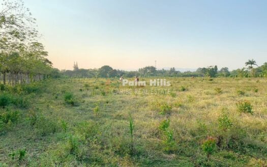 Prime Farmland in Sabaneta – Ideal for Ranching or Agriculture