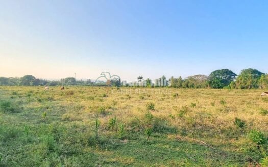 Prime Farmland in Sabaneta – Ideal for Ranching or Agriculture