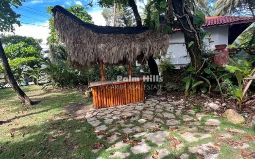 Пляжная недвижимость на востоке Кабарете