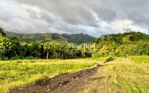 Hermosos Lotes en Venta en el Tranquilo Valle de Puerto Plata