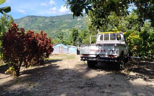 Ocean-View Avocado Farm with High ROI