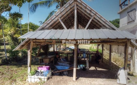 Taino Farm – Los Brazos, Jamao, Dominican Republic