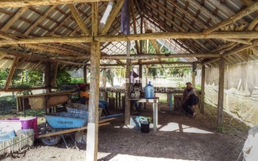 Taino Farm – Los Brazos, Jamao, Dominican Republic