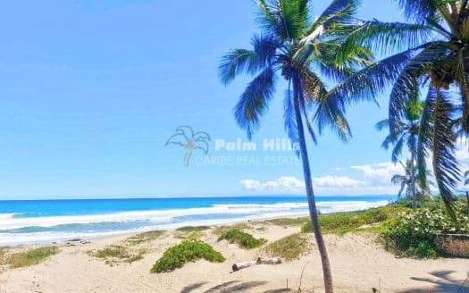 Очаровательный отель в нескольких шагах от пляжа Карибской мечты в Кабарете, отличная возможность для инвестиций!