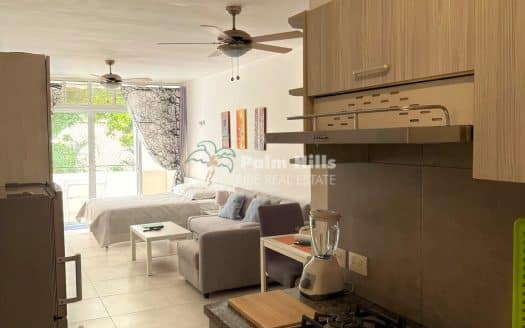 Studio Just a 10 Minute walk from Cabarete Center