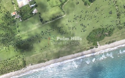 Terreno llano frente al mar en La Canas - Ideal para inversión o desarrollo