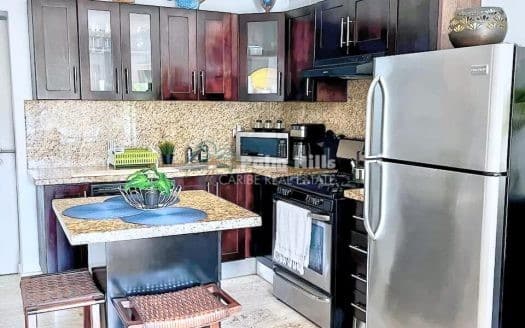 Two Bedroom, Apartment for Rent in Grand Laguna Beach