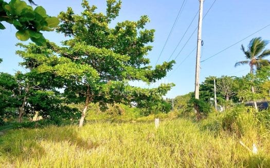 Oceanfront Lot for Sale in Cabarete, Prime Beachfront Opportunity