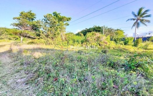 Oceanfront Lot for Sale in Cabarete, Prime Beachfront Opportunity