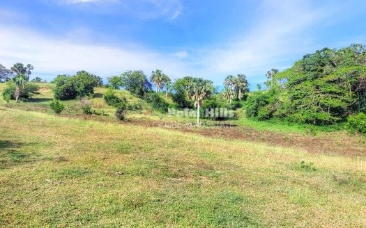 Lotes urbanizables con hermosas vistas, compre uno o compre todos