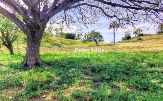 Lotes urbanizables con hermosas vistas, compre uno o compre todos