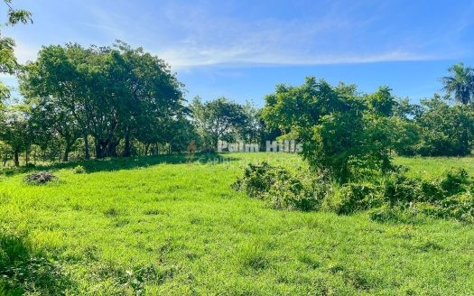 Terreno de 1.200 m² con fácil acceso