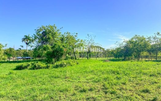 Terreno de 1.200 m² con fácil acceso