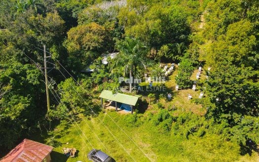 Farmland with High agriculture Potential