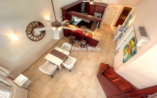 Пентхаус с 2 спальнями на берегу моря в Сосуа*