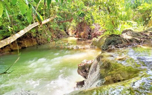 Living your Off-Grid-Dream! – On 31,800 m² Fertile Land, 3 Villas, Own River, Steam-Bath,many Crops and more Surprises!