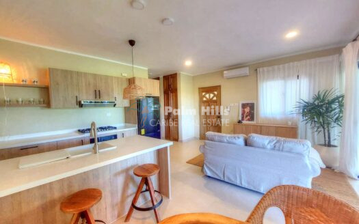 Impresionante departamento nuevo de 1 recámara, balcón, terraza de 75 m² en la azotea, centro de Cabarete.