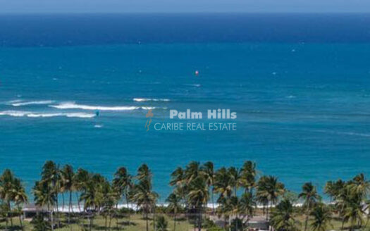 Última parcela a pocos pasos del mar: 472 m² con cocoteros y mangos. Construya su sueño caribeño.